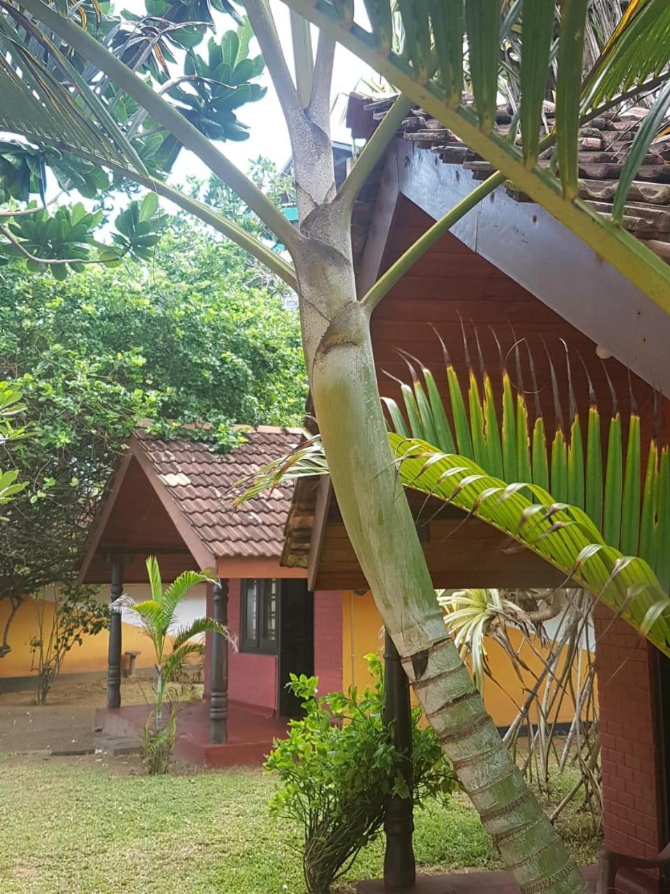 Dreamvillage Dodanduwa ภายนอก รูปภาพ